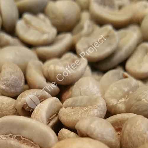 What's Happening When You Roast?