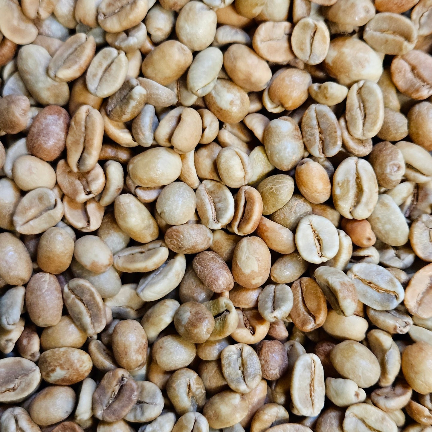 Bali Kintamani Natural