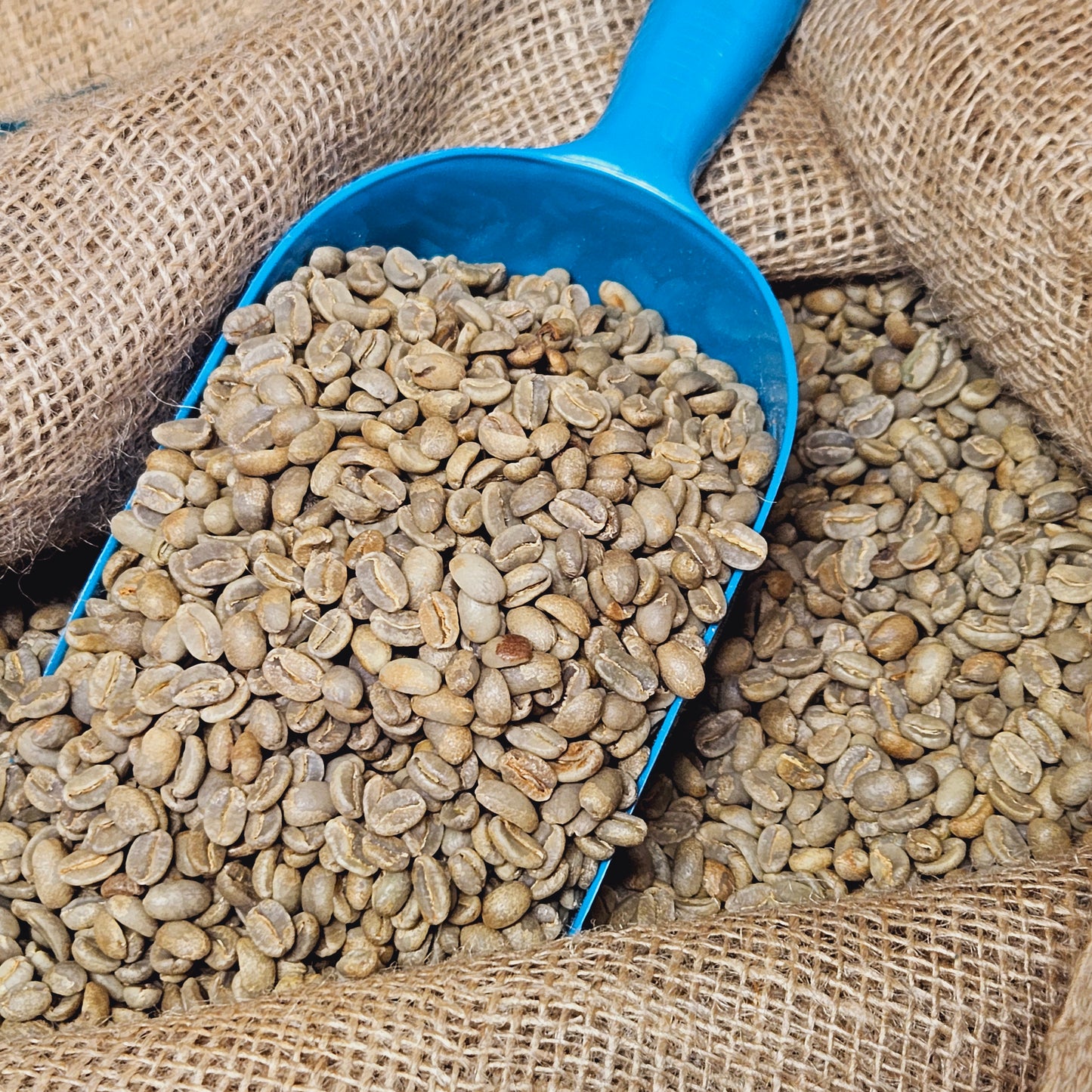 PNG - Natural - CP Select