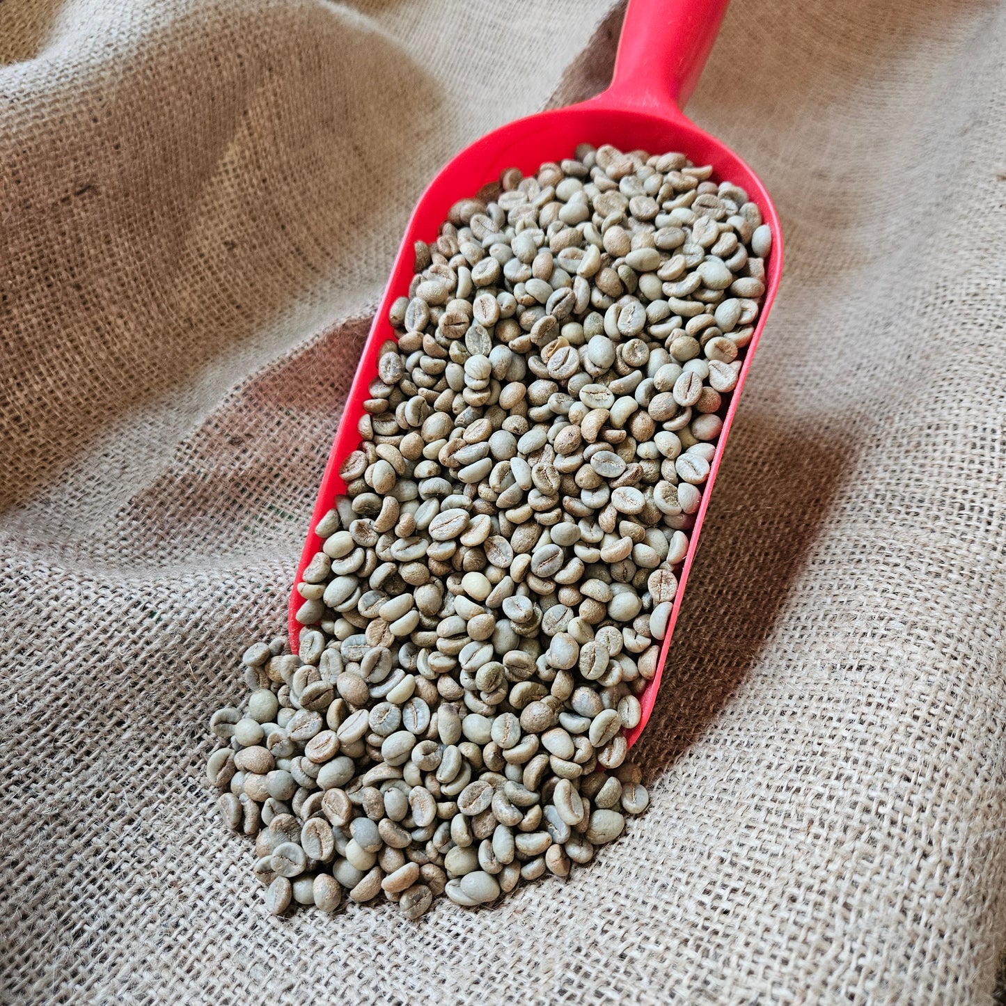 Josuma Washed Robusta Parchment-AB