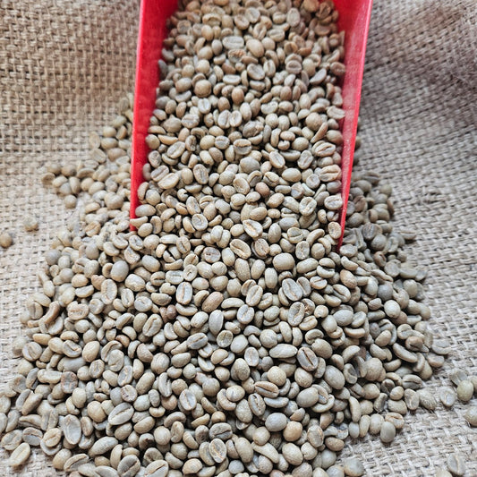 Ethiopia Washed Sidama