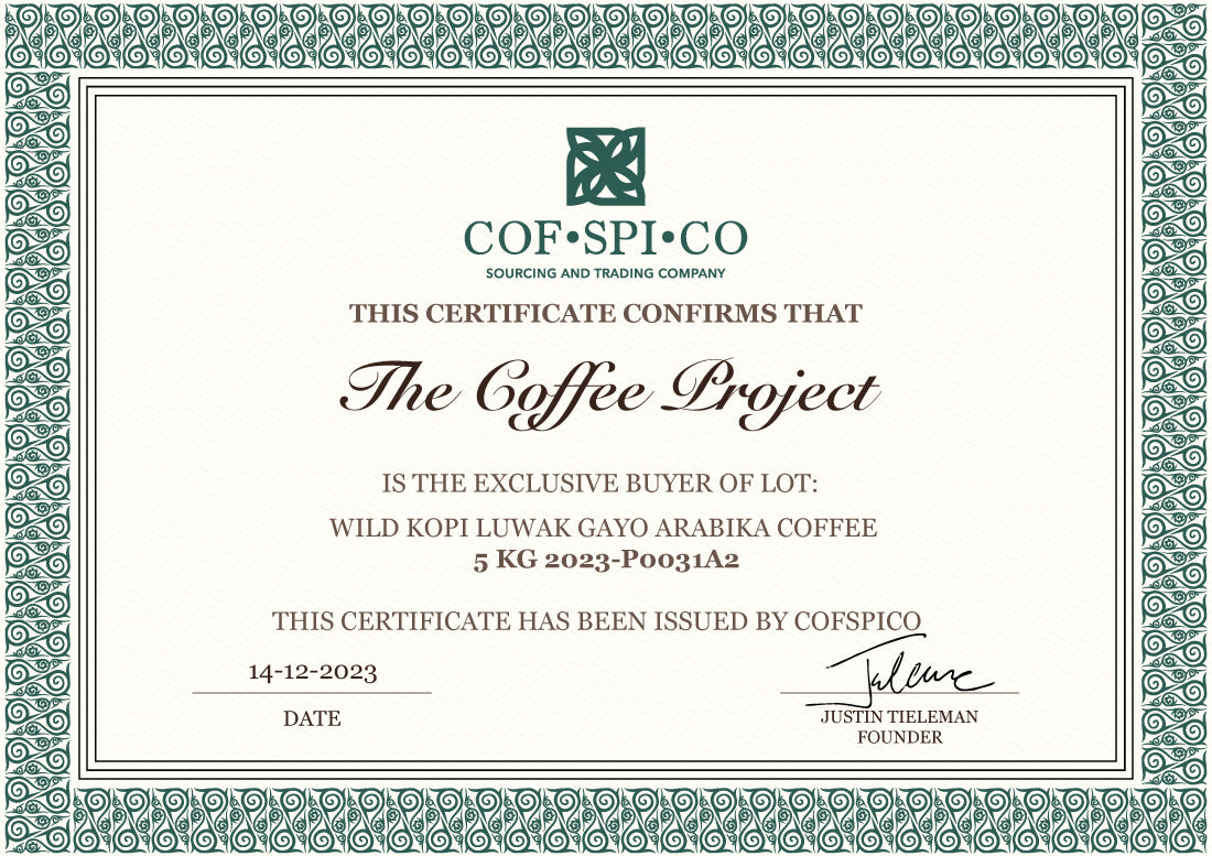 Wild Arabica Kopi Luwak