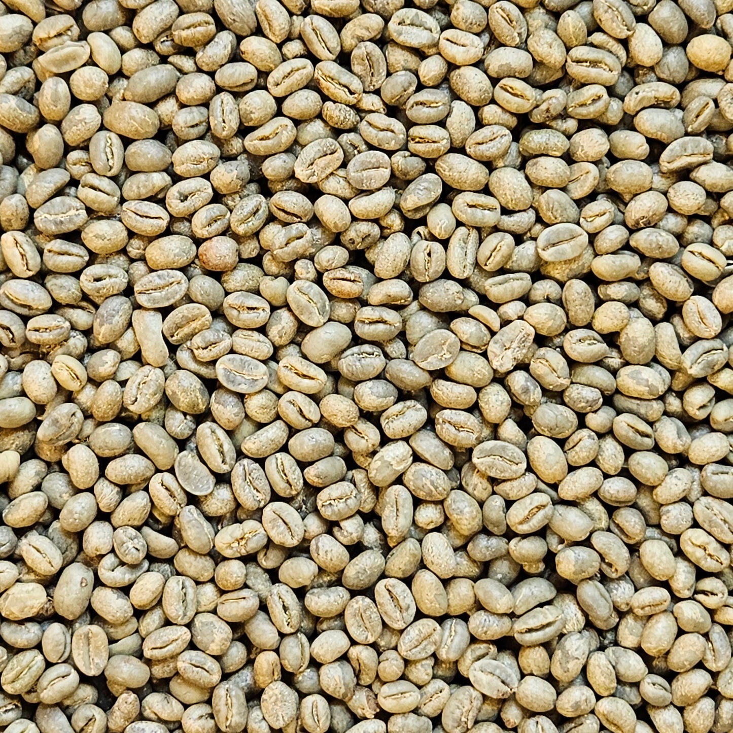 Tanzania Peaberry Plus Kitamu Micro Lot