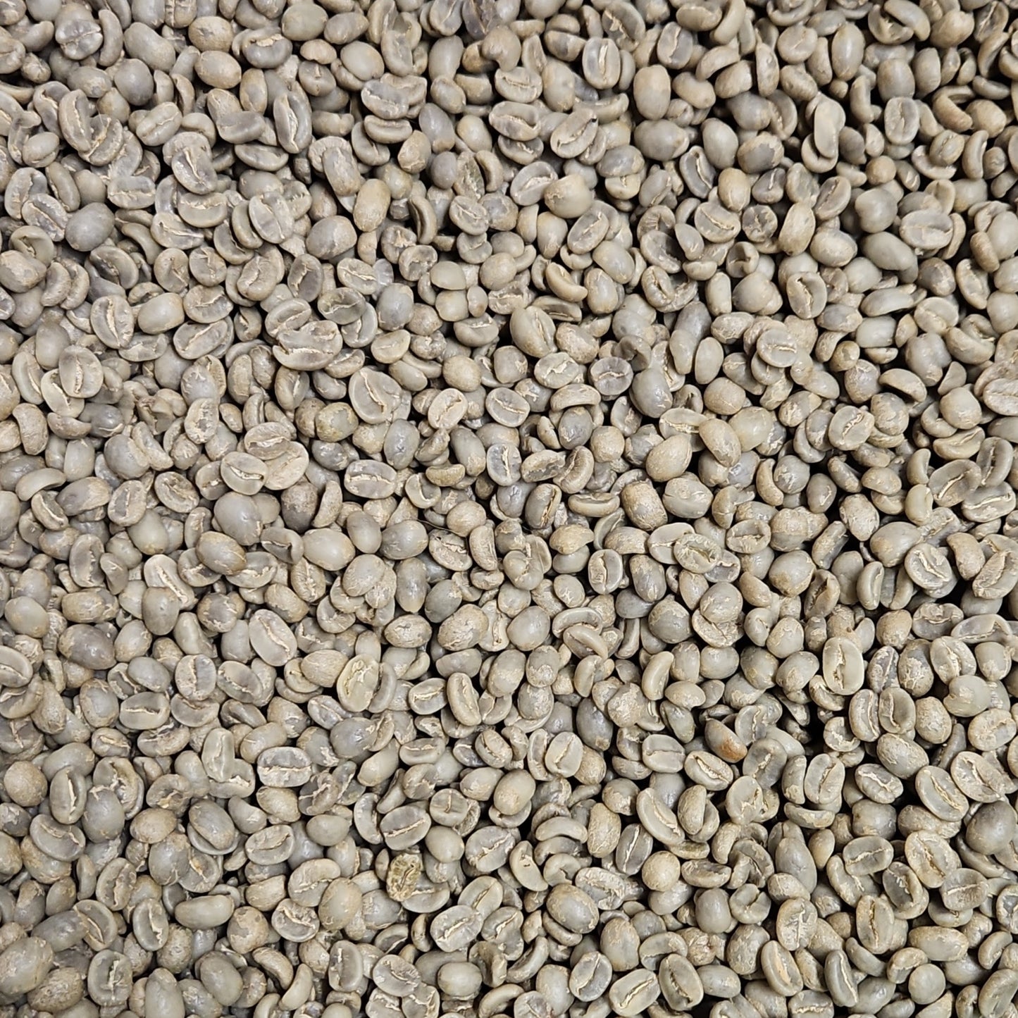 Guatemala Huehuetenango FTO