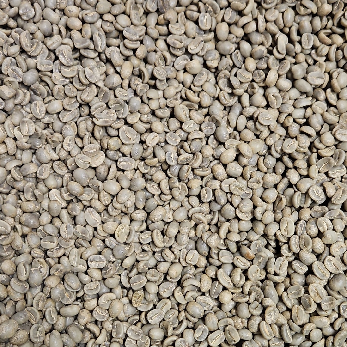 Guatemala Huehuetenango SHB, Tello Family Estate