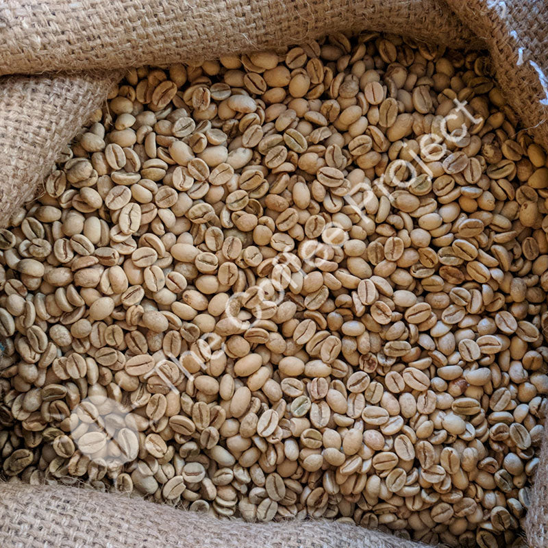 Premium Quality Monsoon Malabar Coffee Beans