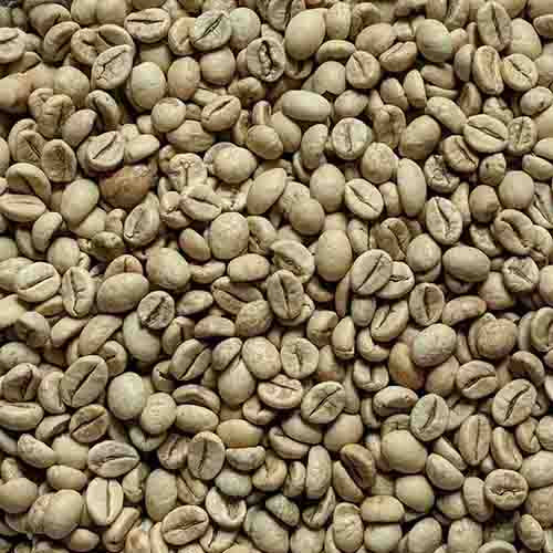 Josuma Monsooned Robusta (for espresso blends)