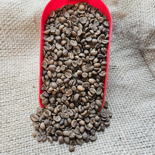 Decaf Lima Peru FTO MWP