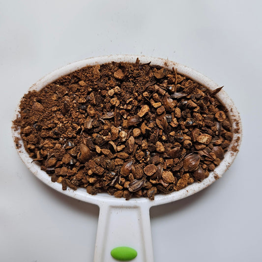 Chicory Joe