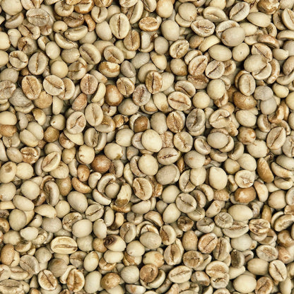 Josuma's Kaapi Royale Premium Washed Robusta