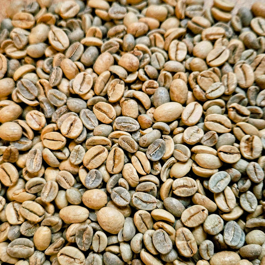Josuma's Proprietary Espresso Blend Malabar Gold®