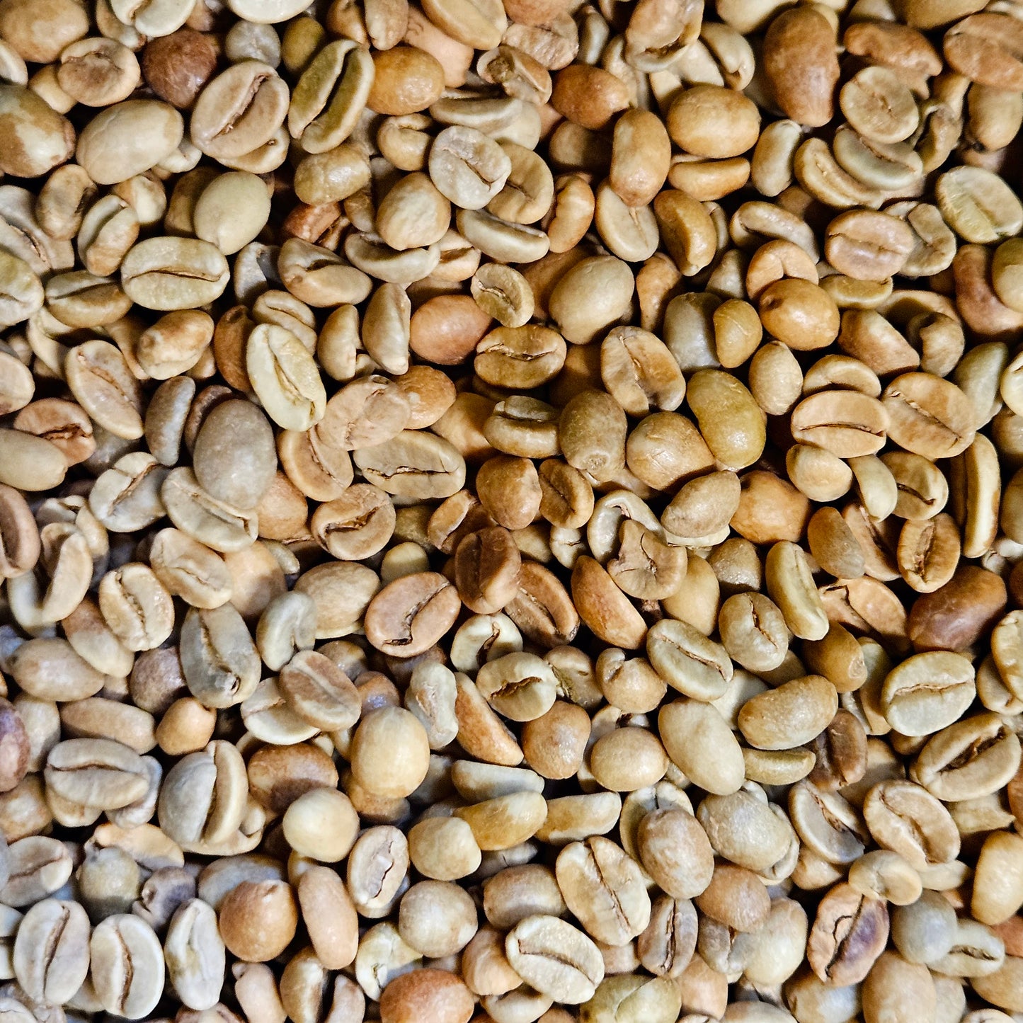 Bali Kintamani Natural