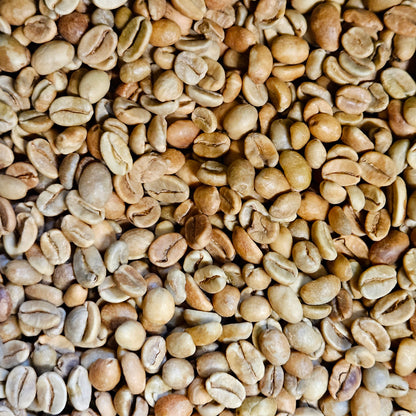 Bali Kintamani Natural