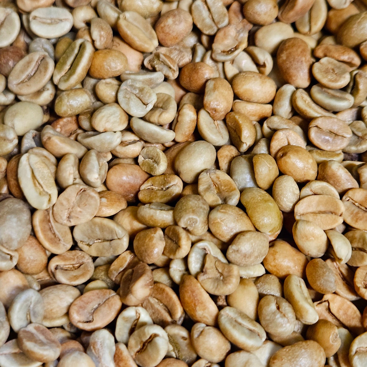 Bali Kintamani Natural