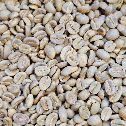 Colombia Huila Women Producers