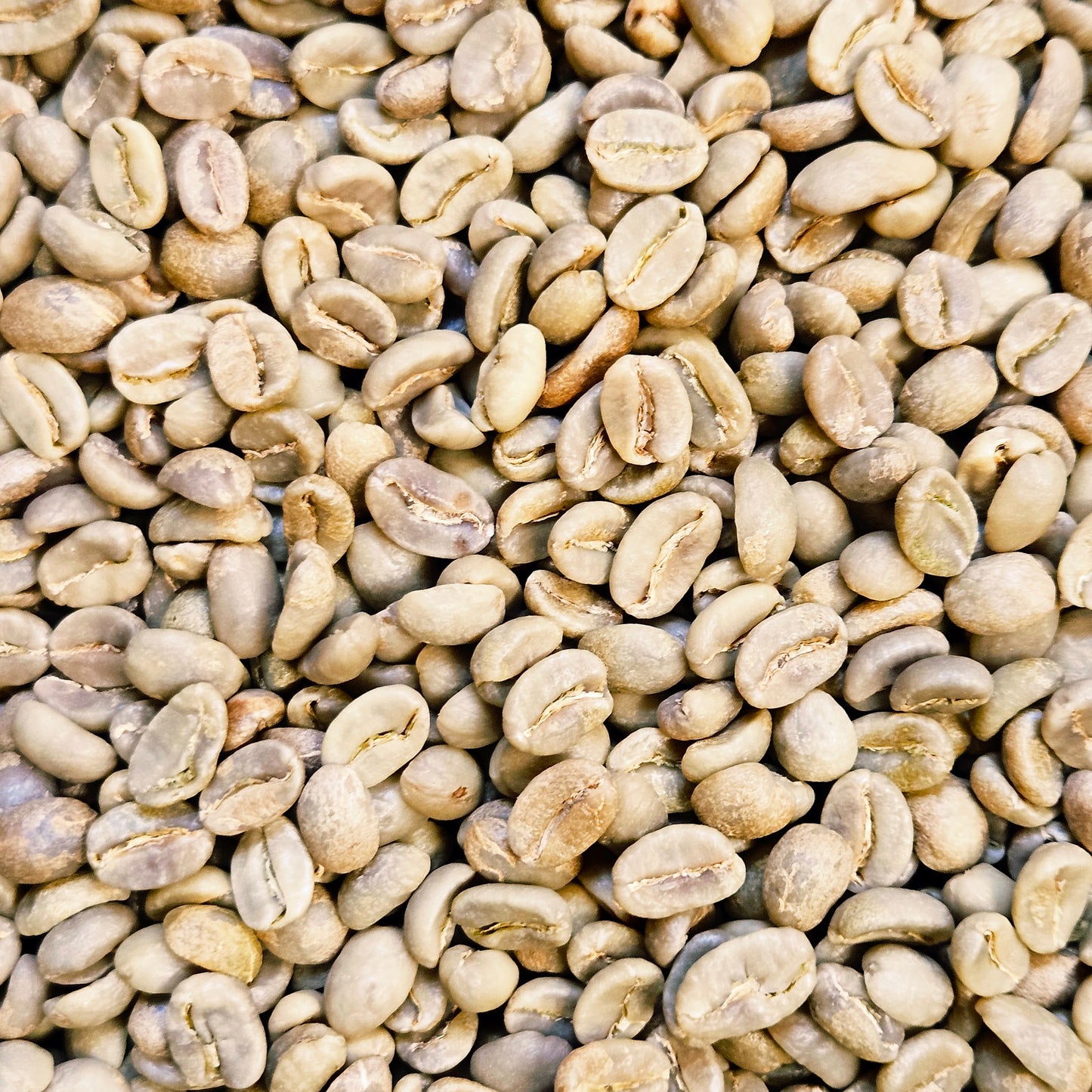 Colombia Huila Women Producers