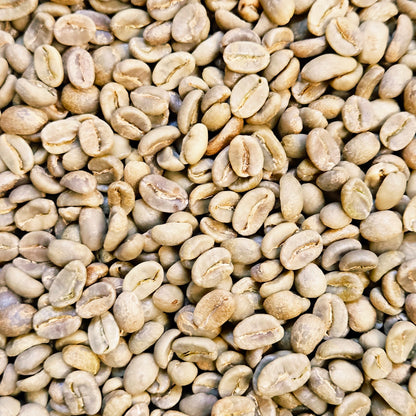 Colombia Huila Women Producers