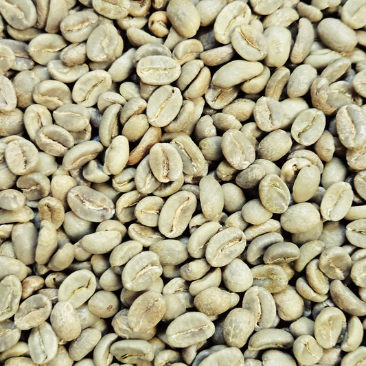 Colombia Huila Women Producers