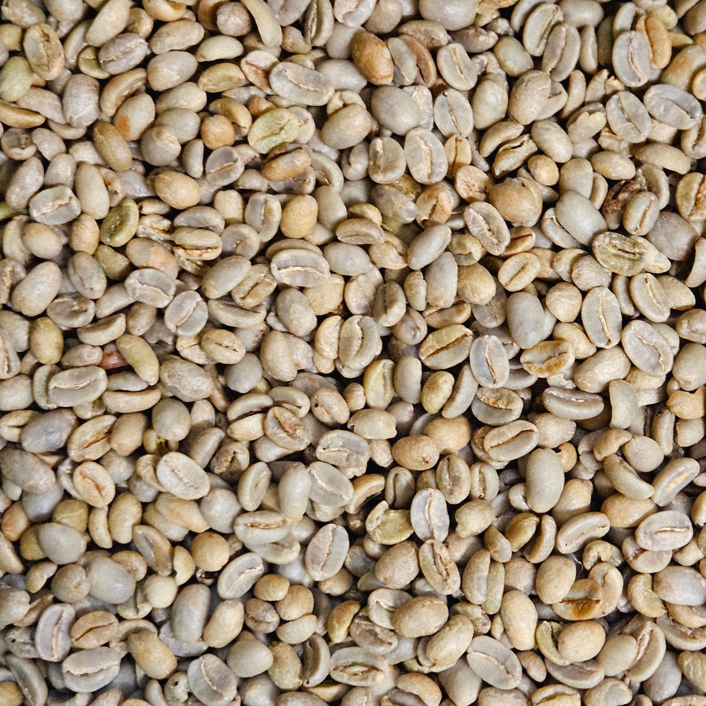 Emberwood Highland Blend