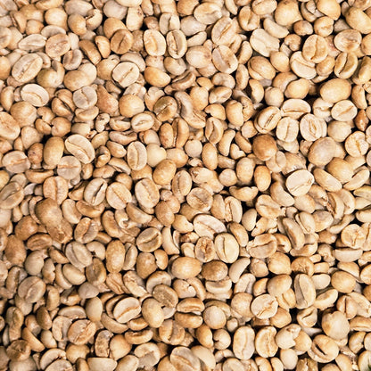 Tanzania Ngorongoro Anaerobic cherry fermentation