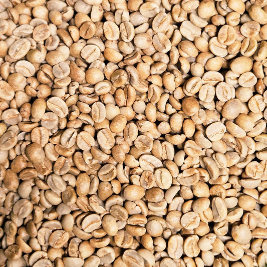 Tanzania Ngorongoro Anaerobic cherry fermentation