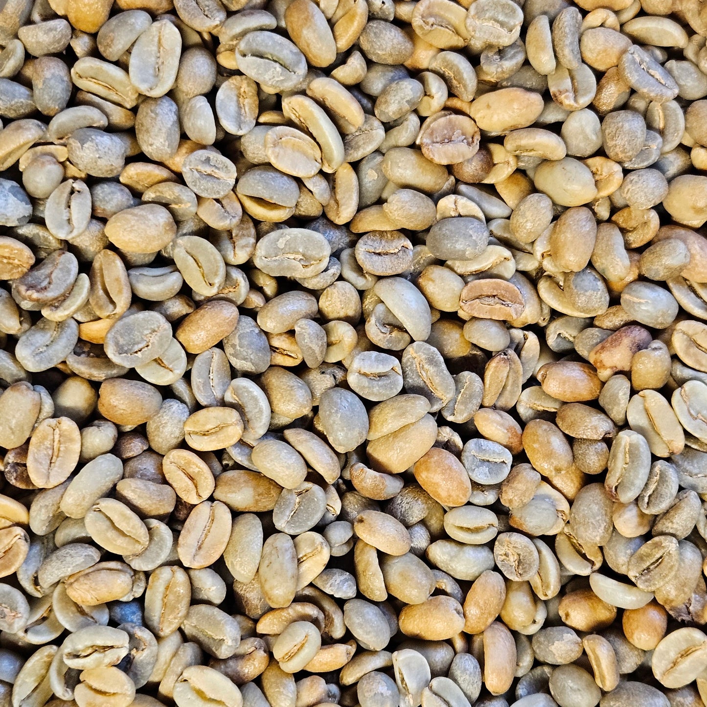 Crimson Andes Blend