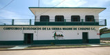 Mexico FTO Chiapas