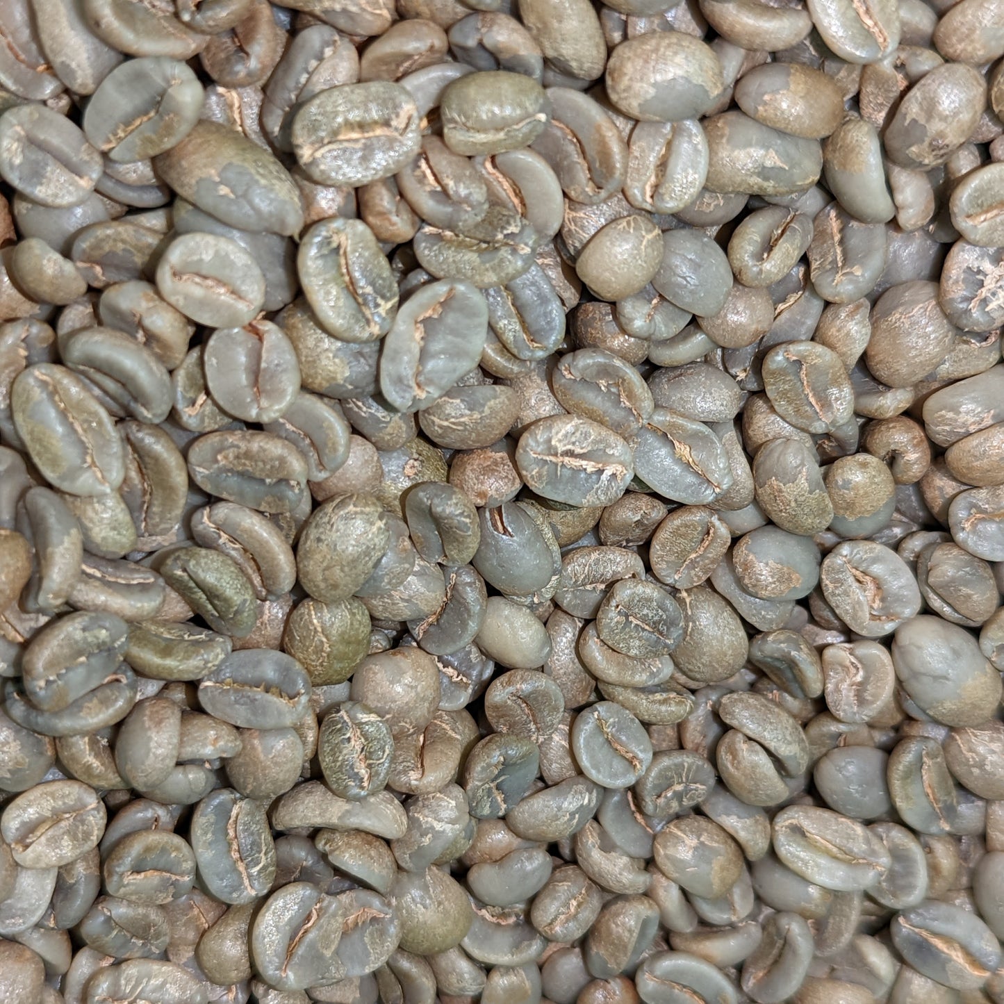 El Salvador Santa Ana