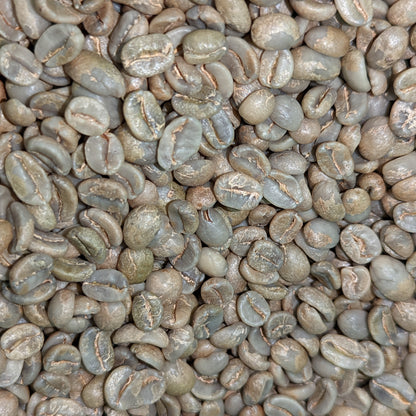 El Salvador Santa Ana