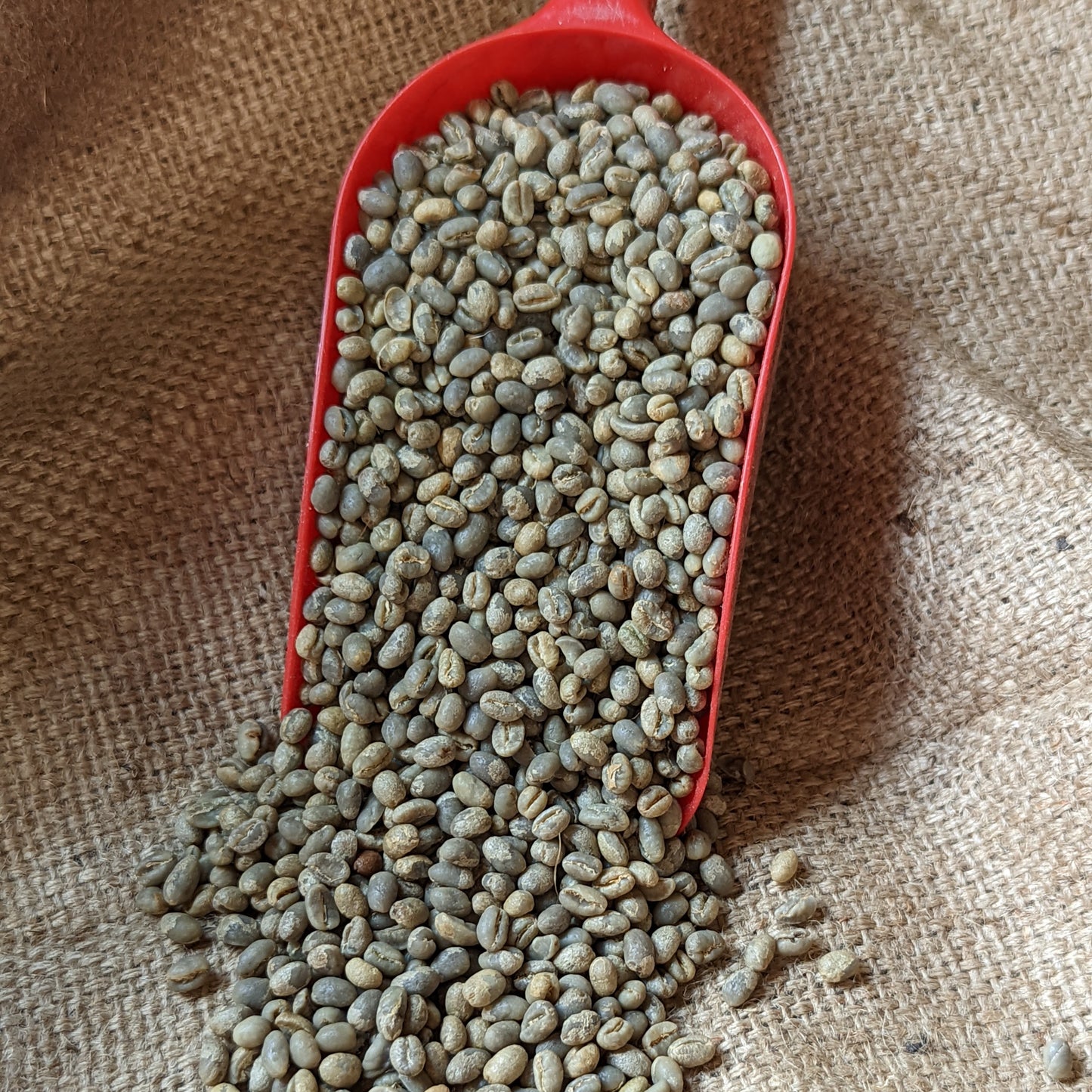 Tanzania Peaberry Southern Blend Fully Washed