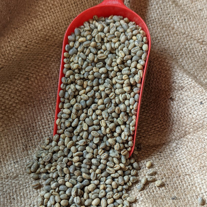 Tanzania Peaberry Southern Blend Fully Washed