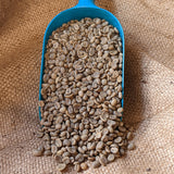 CP Select Guatemala Organic Atitlan