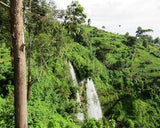 Uganda Organic Sipi Falls